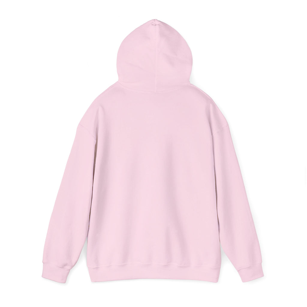 Light Pink|Unisex Heavy Blend™️ Hooded Sweatshirt